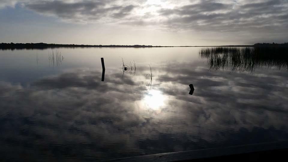 Ps Federal Retreat Paddle Steamer Goolwa Bagian luar foto